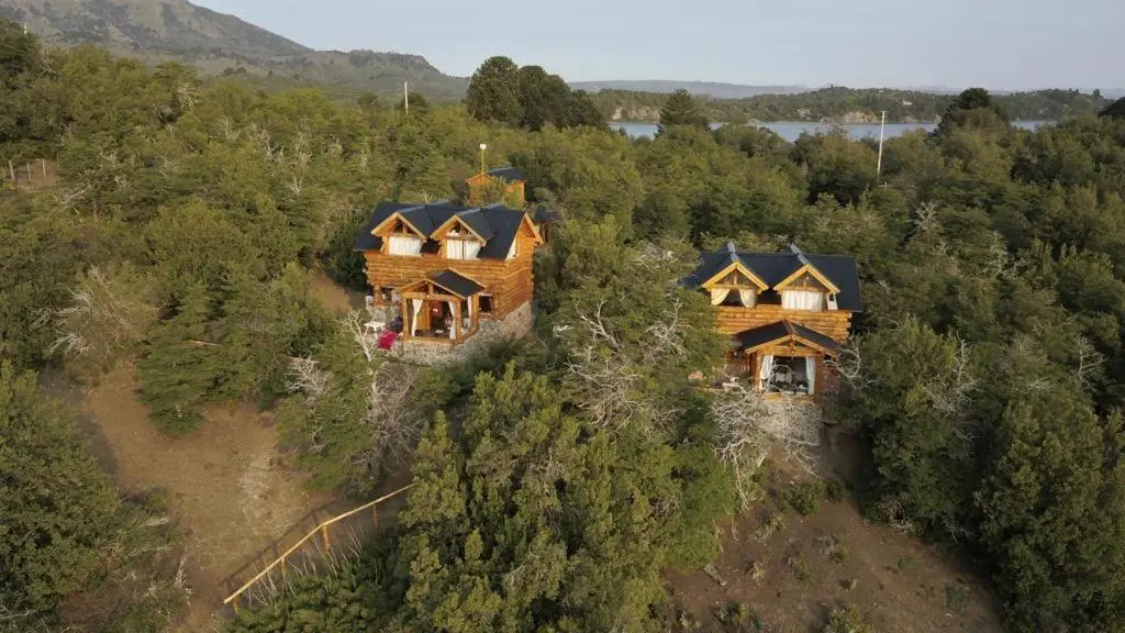 Vista aérea de las cabañas en el bosque nativo
