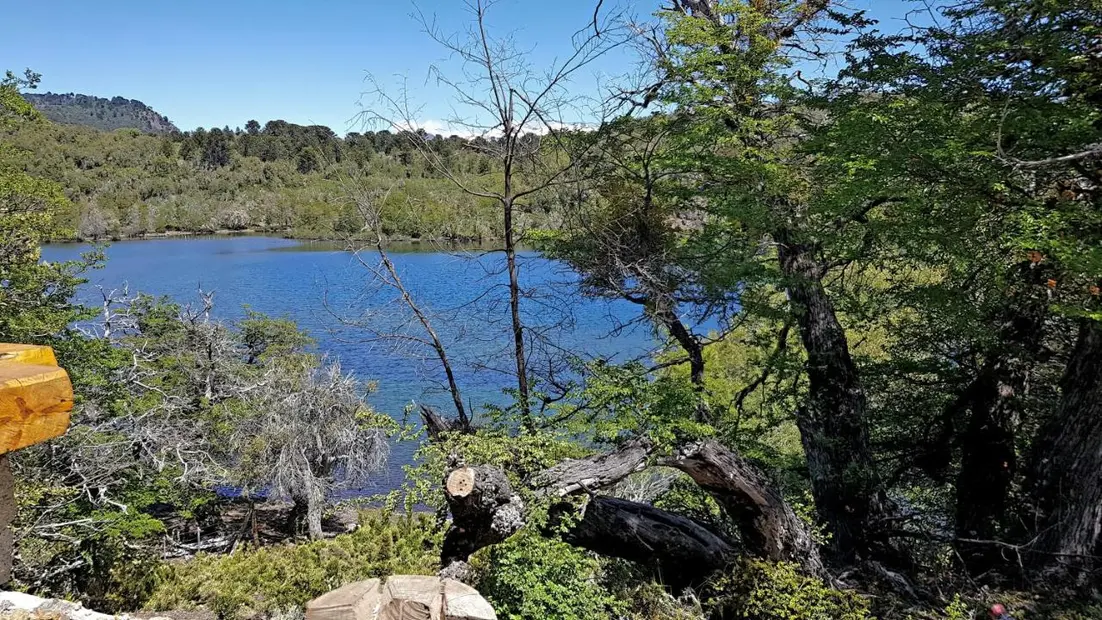 La laguna interna, rodeada de bosque